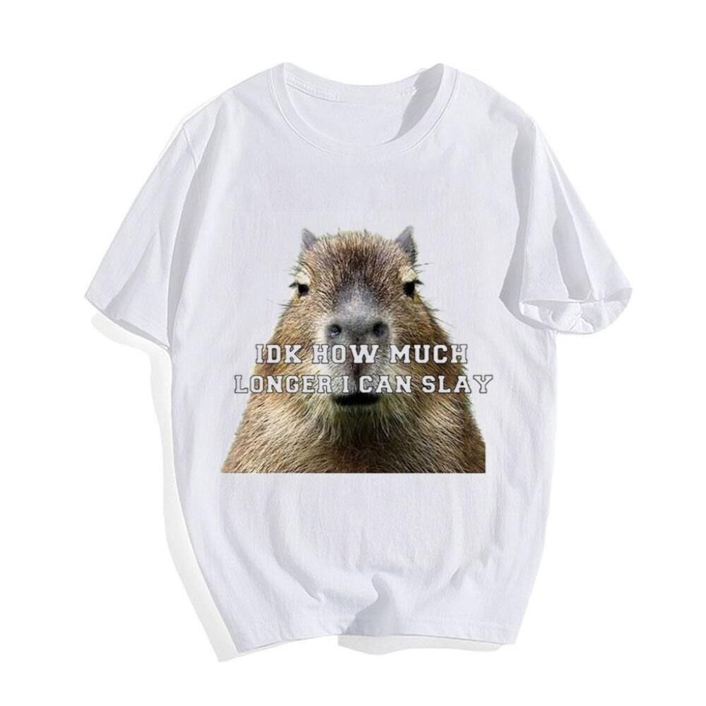 Idk How Much Longer I Can Slay Capybara Sarcastic Meme Retro Humor Collector 05